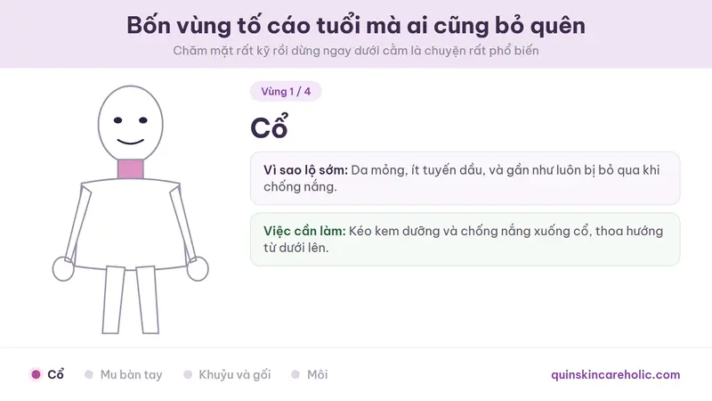 Ảnh động lần lượt đánh dấu bốn vùng cơ thể lộ tuổi sớm nhất trên hình người: cổ, mu bàn tay, khuỷu tay cùng đầu gối, và môi