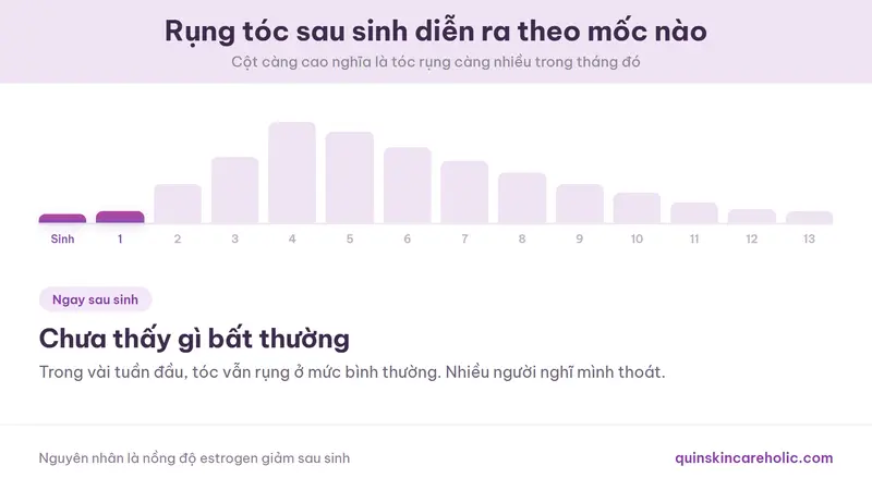 Ảnh động mốc thời gian rụng tóc sau sinh, từ lúc sinh qua đỉnh điểm khoảng tháng thứ tư tới khi hồi phục quanh tháng thứ mười hai